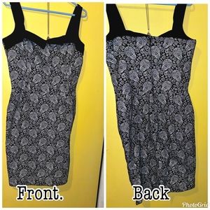 Switchblade Skull Skeleton Punk Goth Rocker Womens Adult Darling Sz. XL